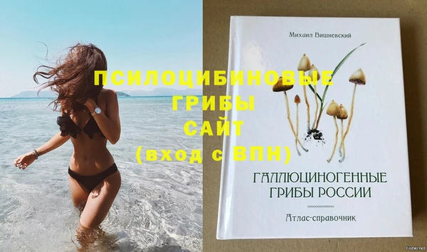 кокс Лагань